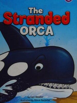 THE STRANDED ORCA