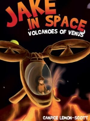 VOLCANOES OF VENUS