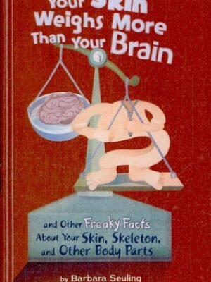 Your Skin Weighs More Than Your Brain
